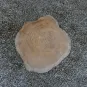 morepic-6